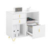 Sobuy ASK11-W, Home Office File Cabinet Printer Stand Storage Cabinet Side Cabinet, White