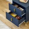 SoBuy FBT115-B, Bedside Table, Bedside Cabinet, Nightstand with 2 Drawers, Side Table for Bedroom Living Room, Blue W40 x D40 x H47cm