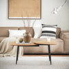 SoBuy FBT127-N, Coffee Table Living Room Table Sofa Table Side Table with 2 Table Tops, Wood