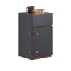SoBuy FBT146-DG, Bedside Table End Table Nightstand with 1 Drawer and 1 Door, Dark Grey