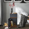 SoBuy FBT146-DG, Bedside Table End Table Nightstand with 1 Drawer and 1 Door, Dark Grey
