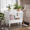 SoBuy FBT147-W, Sofa Side Table Living Room Bathroom End Table with 2 Shelves, White