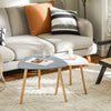 SoBuy FBT74-HG, Nesting Tables, Set of 2 Side Tables, Living Room Tables Coffee Tables, Grey