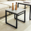SoBuy FBT42-HG, Nesting Tables, Set of 2 Coffee Table Side Table End Table, Grey