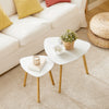 SoBuy FBT74-W, Nesting Tables, Set of 2 Side Tables, Living Room Tables Coffee Tables, White