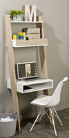 SoBuy FRG110-WN+FRG111-WN+FRG112-WN, Ladder Shelf Set, Shelving Storage Display Units & Desk, White