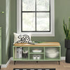 SoBuy FSR115-GR, Hallway Storage Bench Shoe Cabinet with Glass Sliding Doors and Seat Cushion, Green