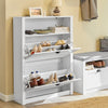 SoBuy FSR87-W, Shoe Cabinet Shoe Rack Shoe Cupboard with 1 Storage Compartment and 2 Drawers, White