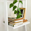 SoBuy FRG32-W, Wooden 3 Tiers Wall Shelf Ladder Shelf, Storage Display Stand Rack